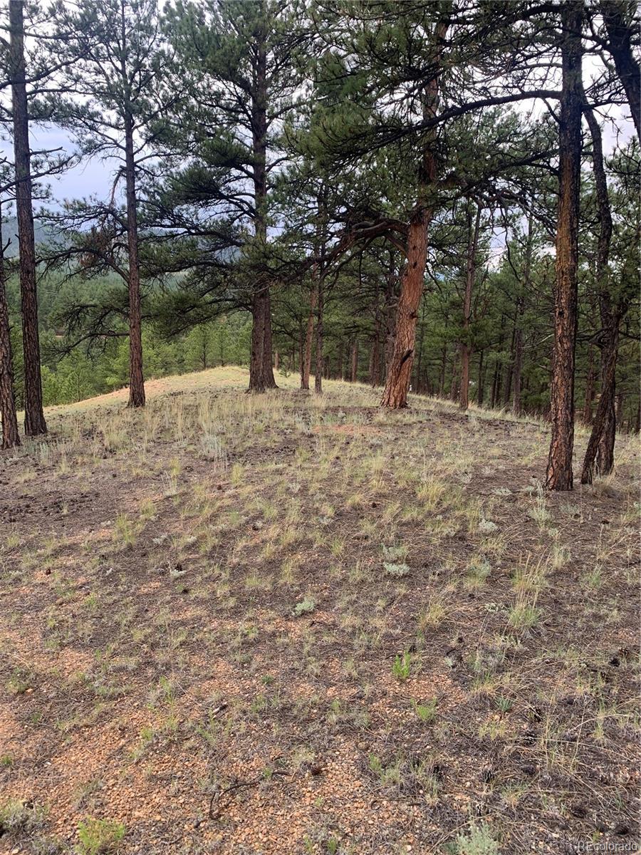 MLS Image #38 for 110  wallace drive,florissant, Colorado