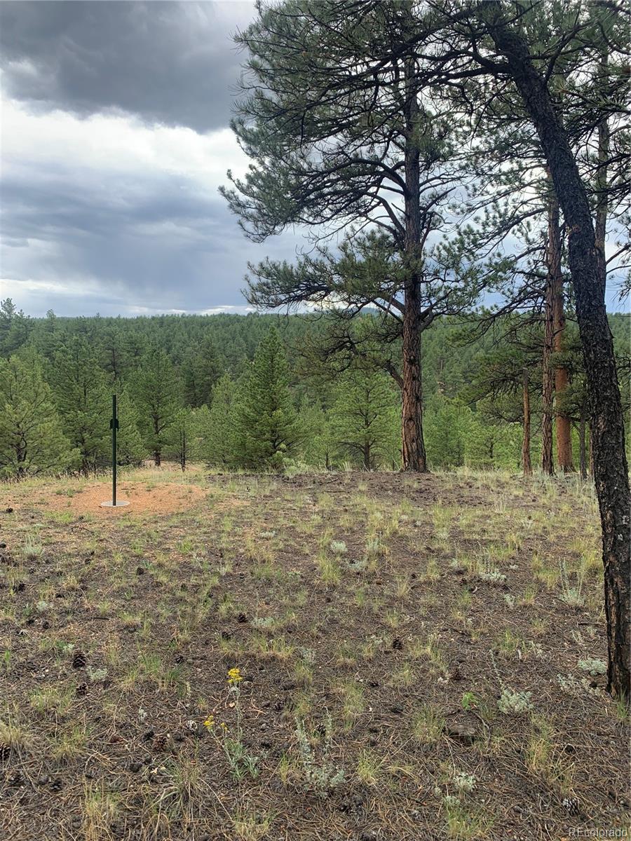 MLS Image #40 for 110  wallace drive,florissant, Colorado