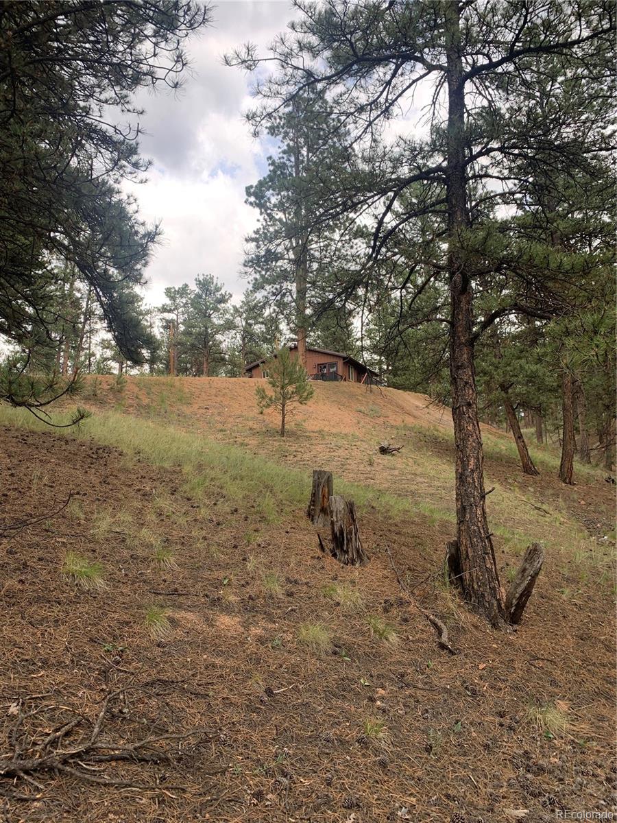 MLS Image #42 for 110  wallace drive,florissant, Colorado