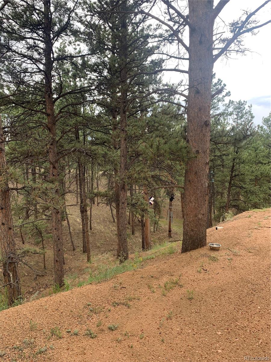 MLS Image #43 for 110  wallace drive,florissant, Colorado