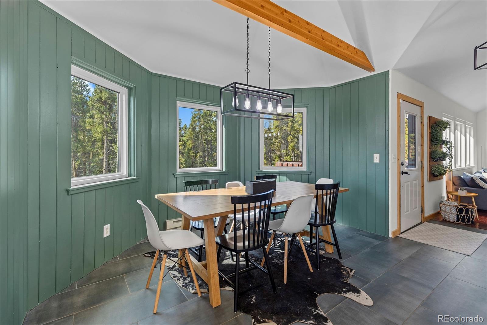 MLS Image #10 for 1110  circle 73 ,fairplay, Colorado