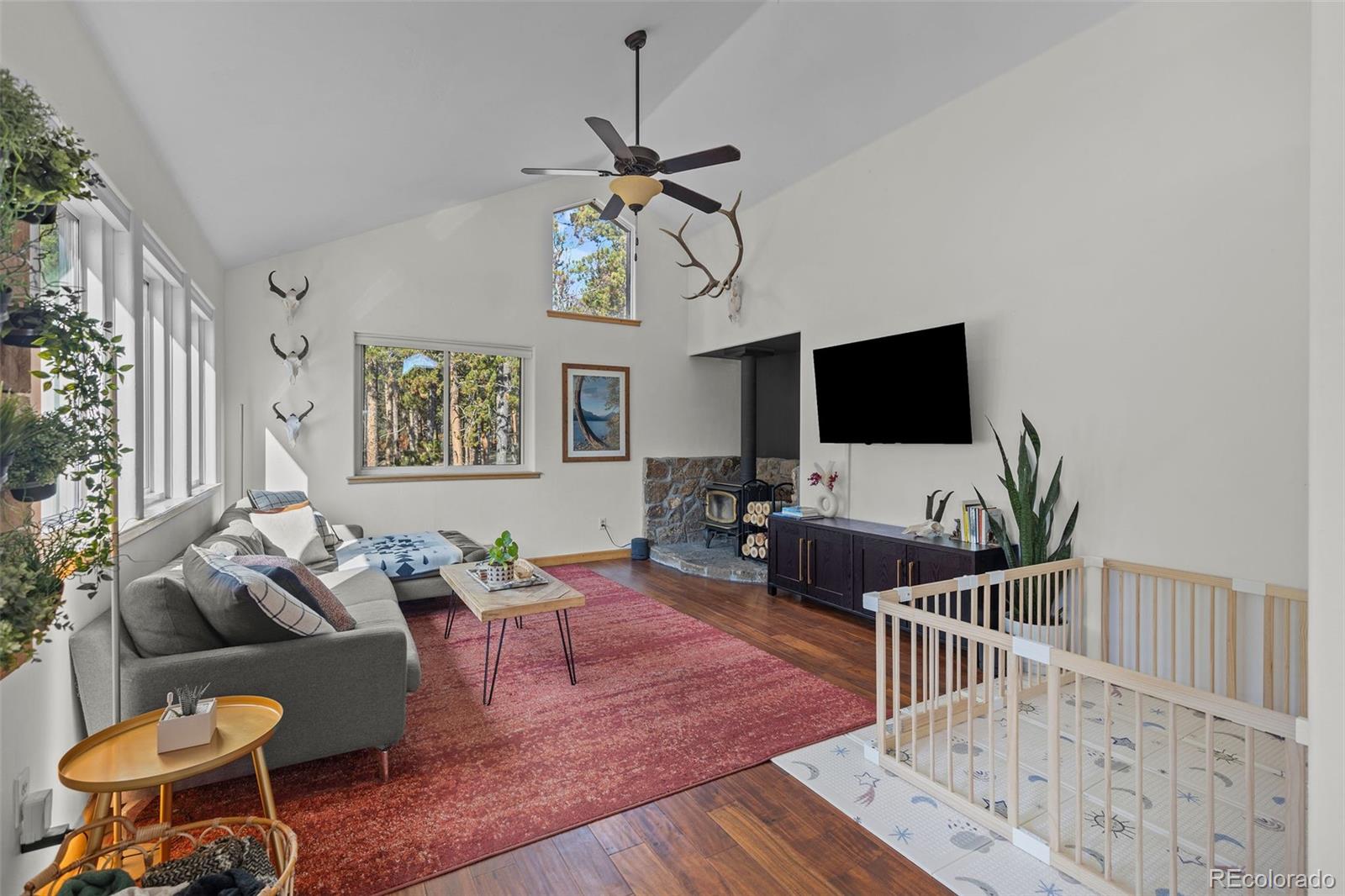 MLS Image #13 for 1110  circle 73 ,fairplay, Colorado
