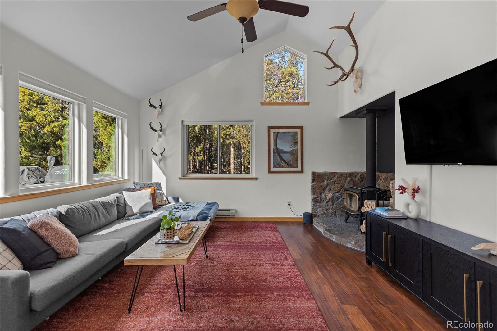 MLS Image #14 for 1110  circle 73 ,fairplay, Colorado