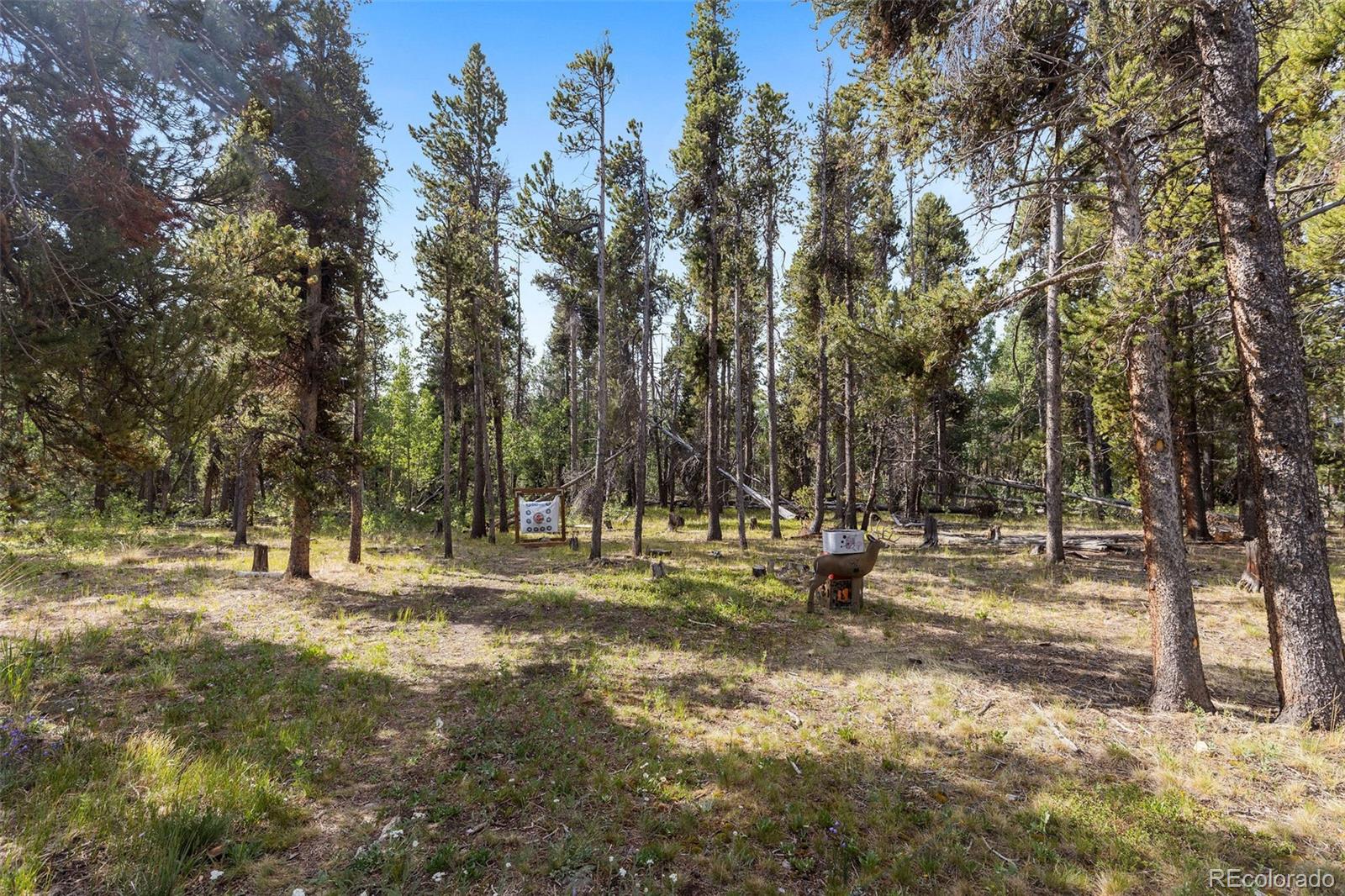 MLS Image #31 for 1110  circle 73 ,fairplay, Colorado
