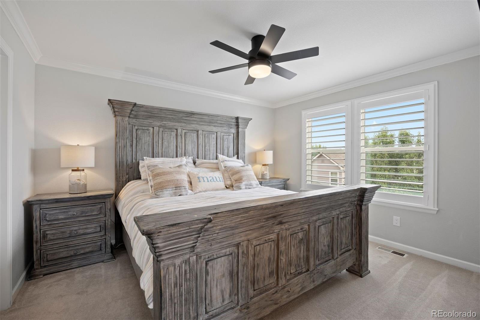 MLS Image #19 for 2602  meadows boulevard,castle rock, Colorado
