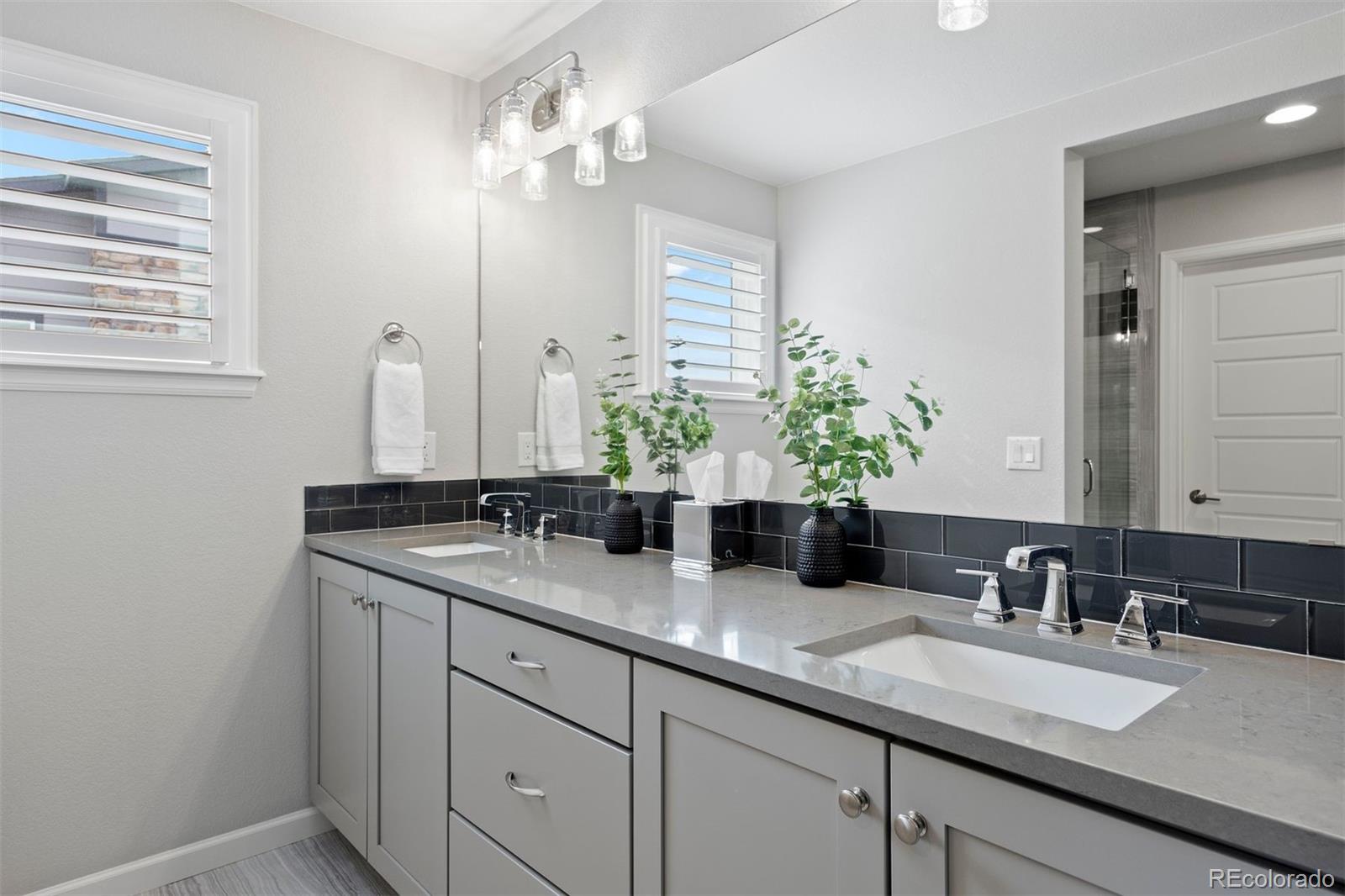 MLS Image #21 for 2602  meadows boulevard,castle rock, Colorado