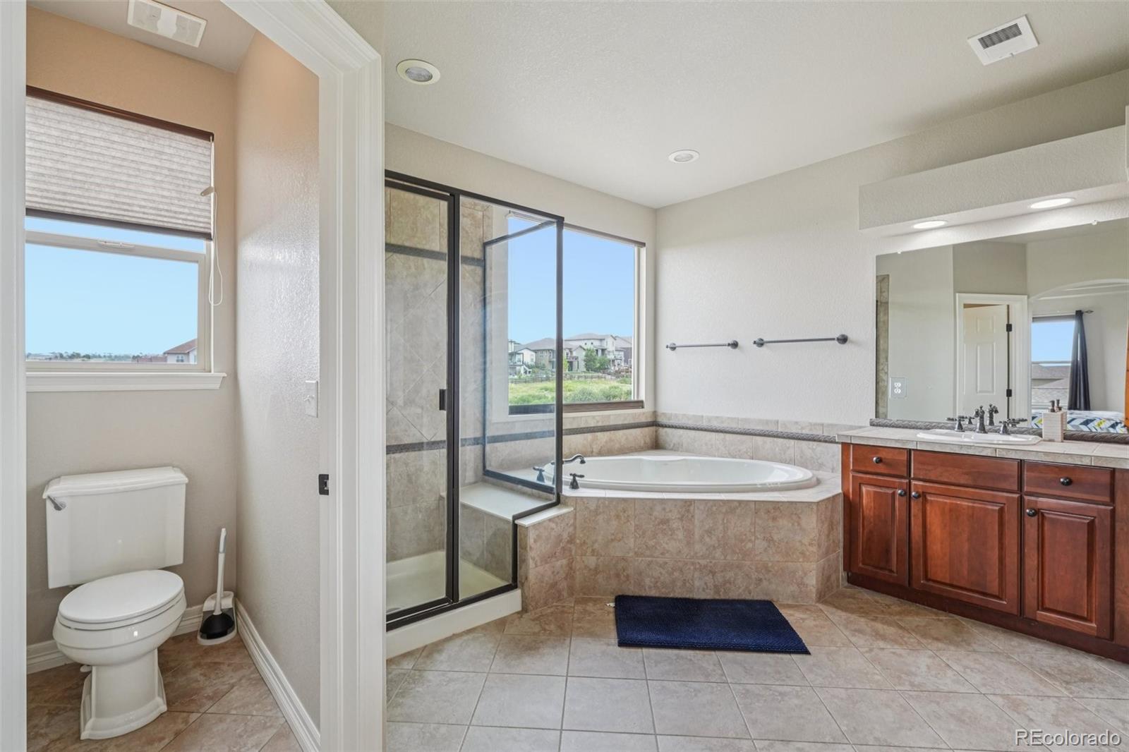 MLS Image #23 for 11826 s saunter court,parker, Colorado