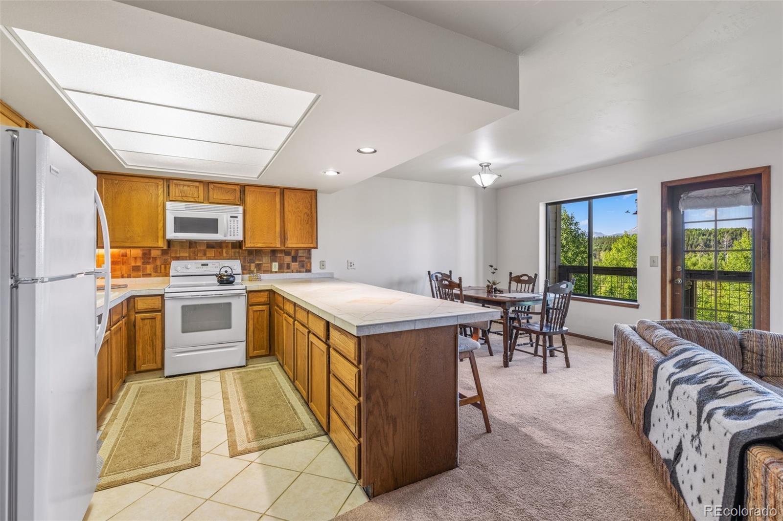 MLS Image #10 for 4624  ryan gulch road,silverthorne, Colorado
