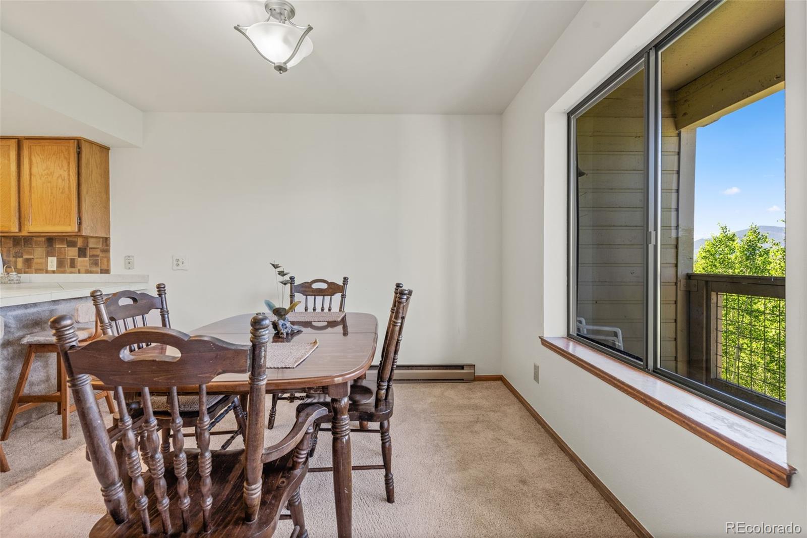 MLS Image #15 for 4624  ryan gulch road,silverthorne, Colorado