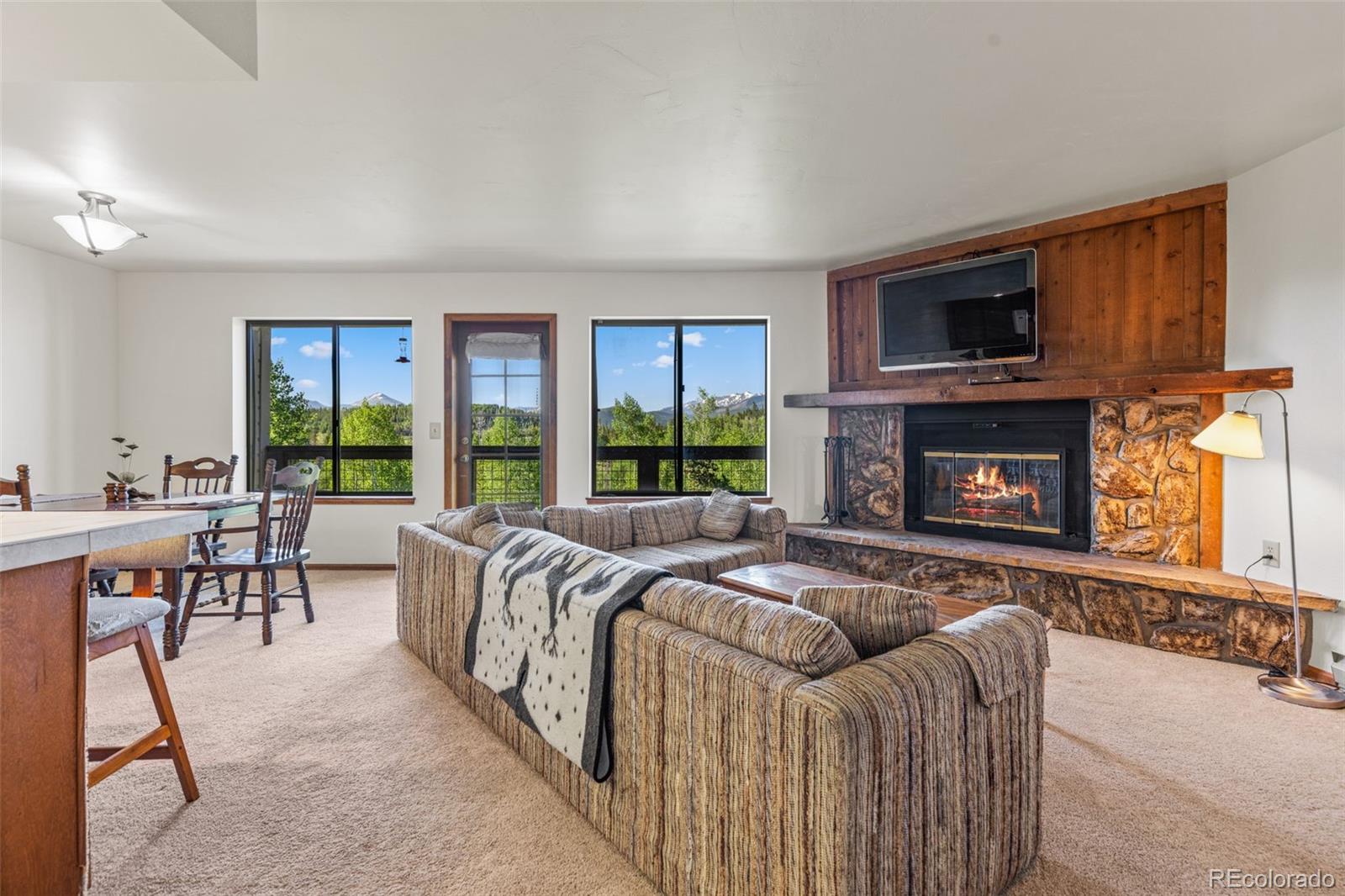 MLS Image #5 for 4624  ryan gulch road,silverthorne, Colorado