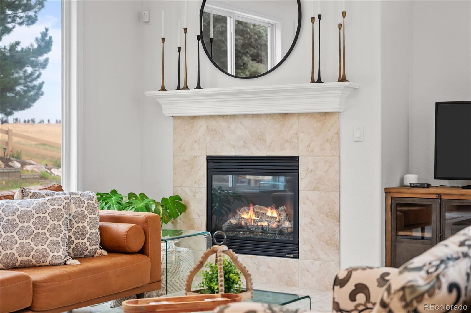 MLS Image #10 for 2550  shadecrest place,highlands ranch, Colorado