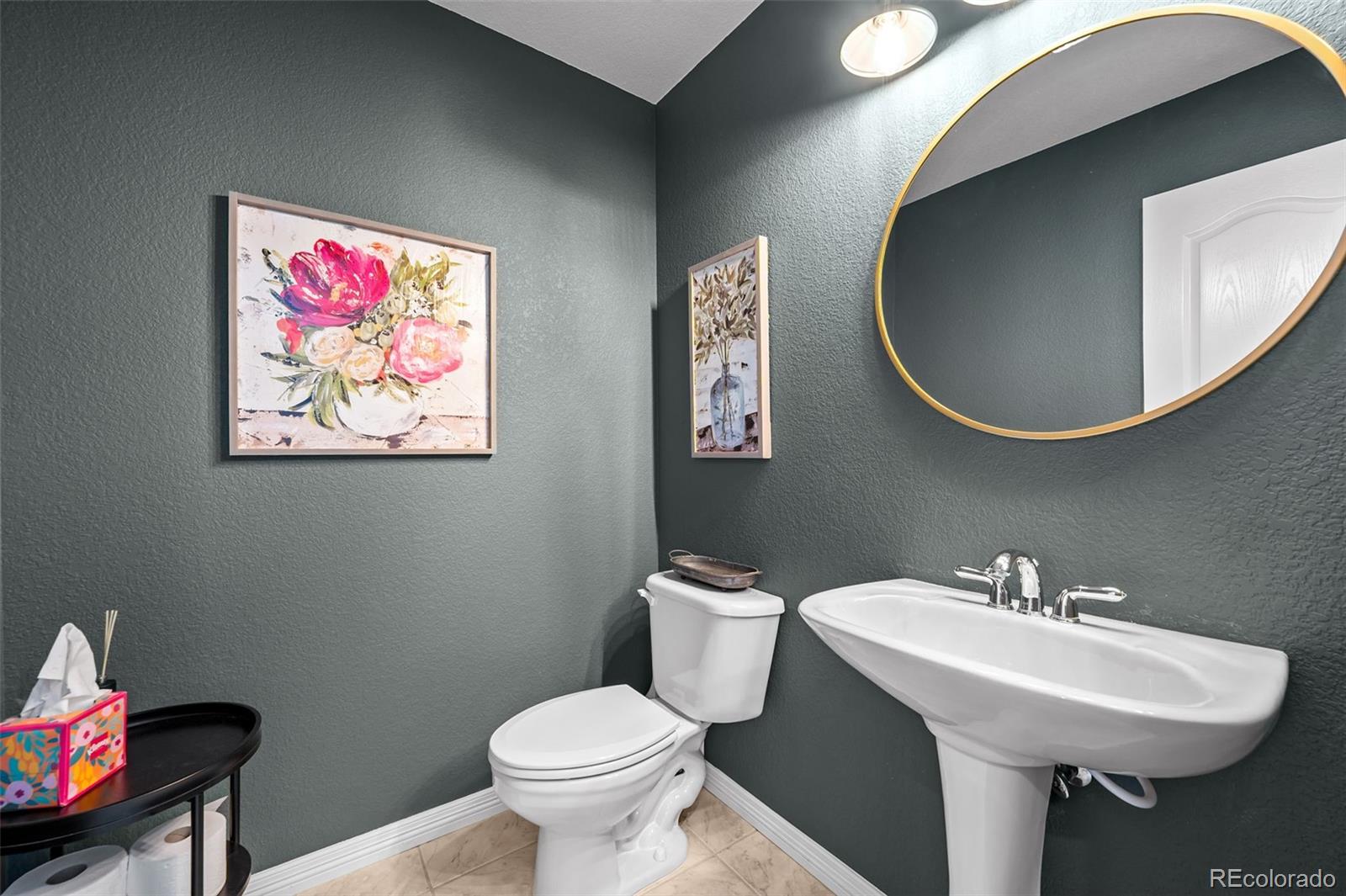MLS Image #22 for 2550  shadecrest place,highlands ranch, Colorado