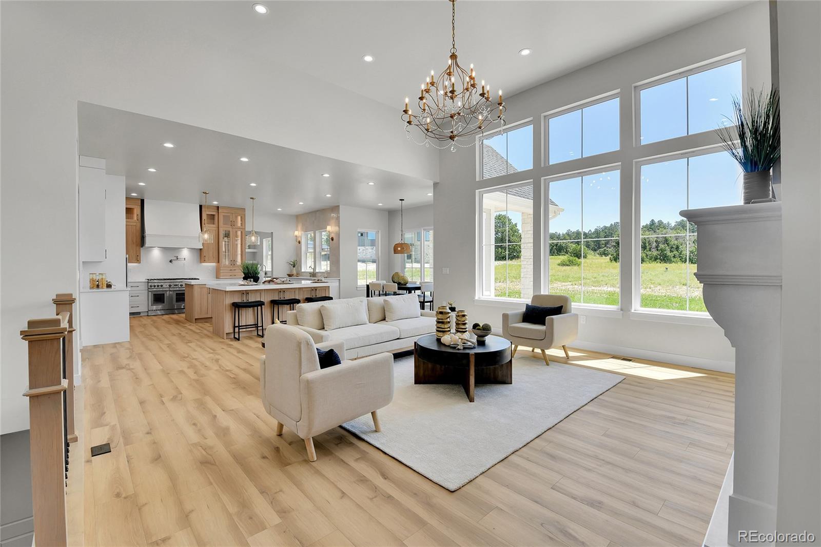 MLS Image #6 for 1700  arrowpoint court,franktown, Colorado
