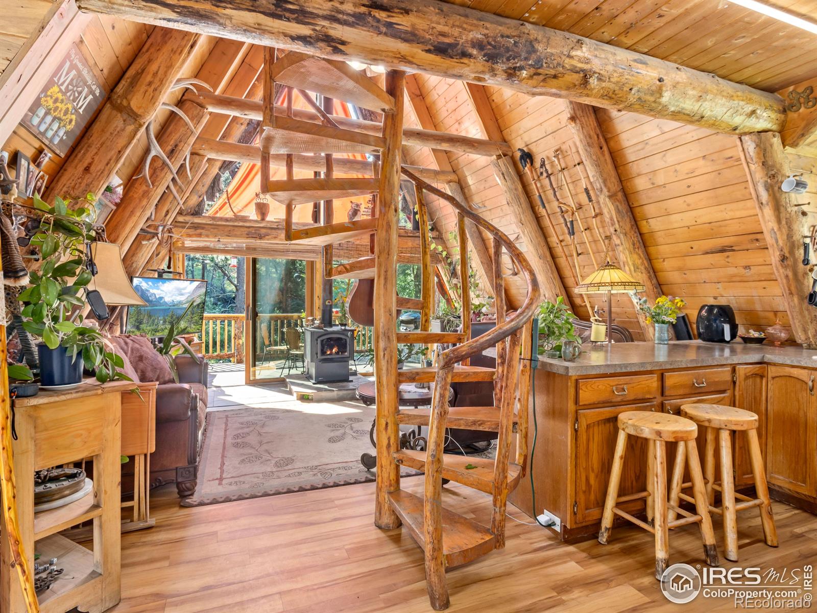 MLS Image #10 for 485  wren place,drake, Colorado
