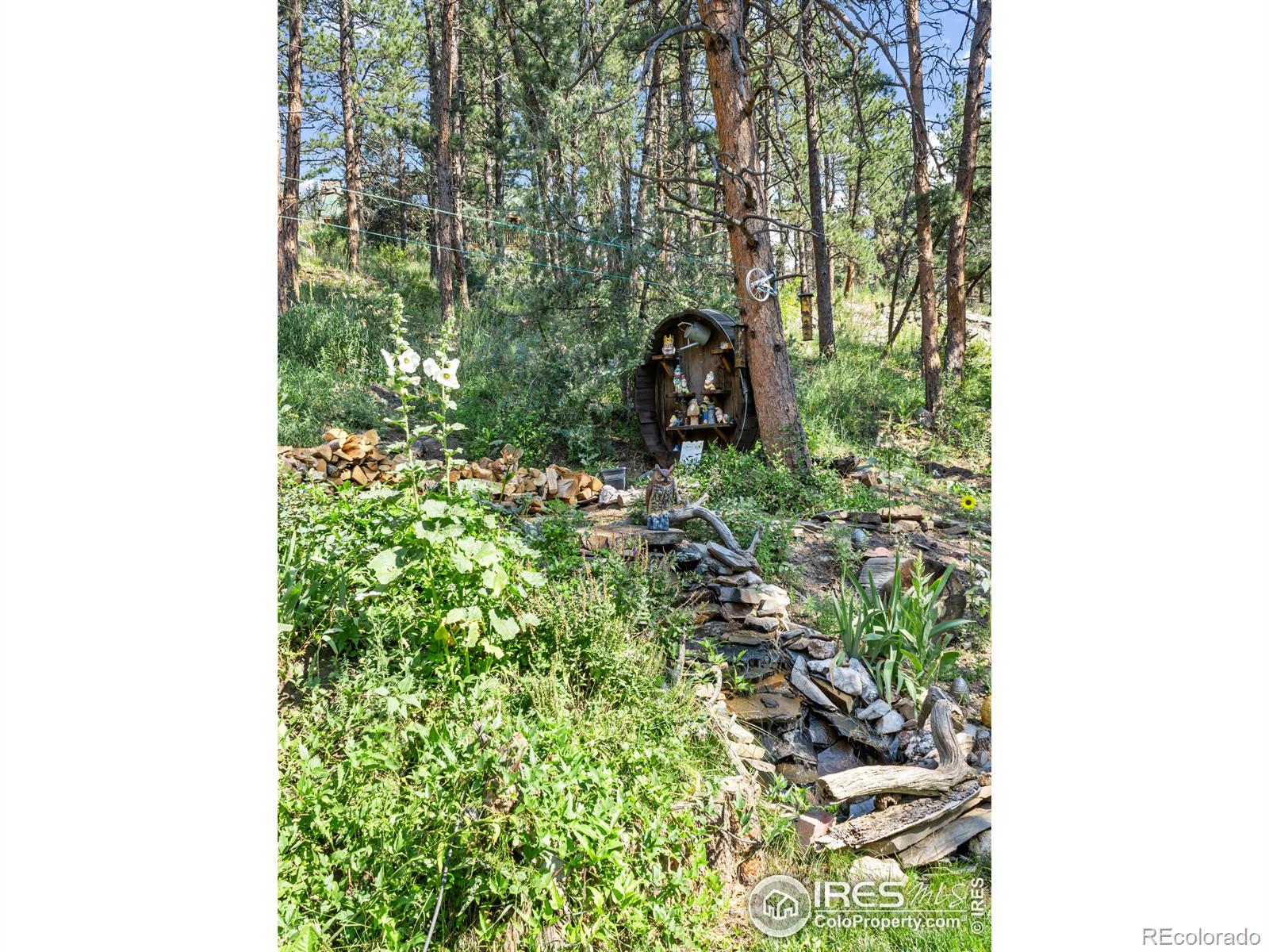 MLS Image #21 for 485  wren place,drake, Colorado