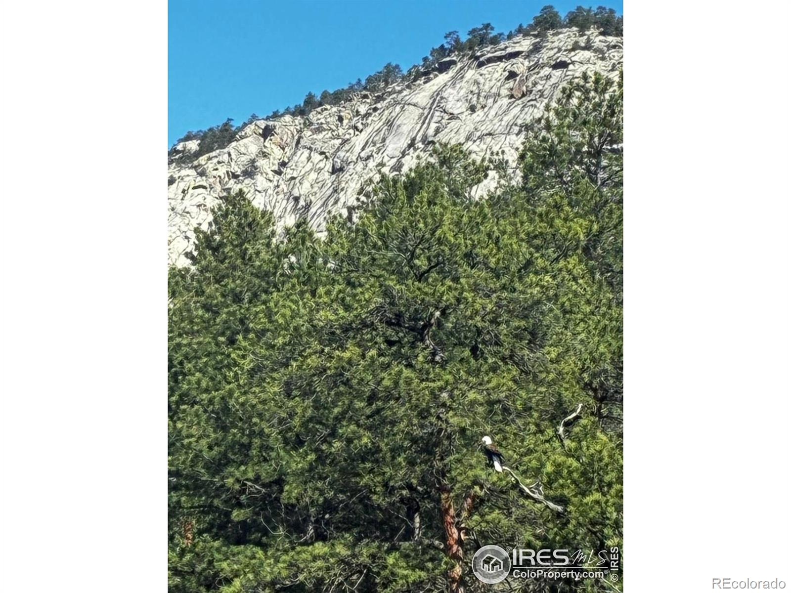 MLS Image #31 for 485  wren place,drake, Colorado