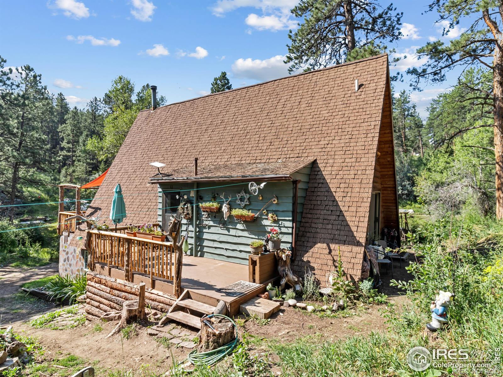 MLS Image #5 for 485  wren place,drake, Colorado
