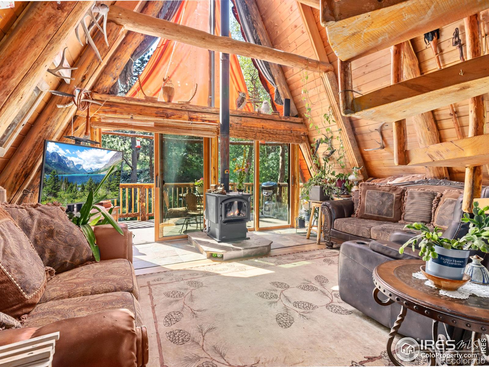 MLS Image #6 for 485  wren place,drake, Colorado