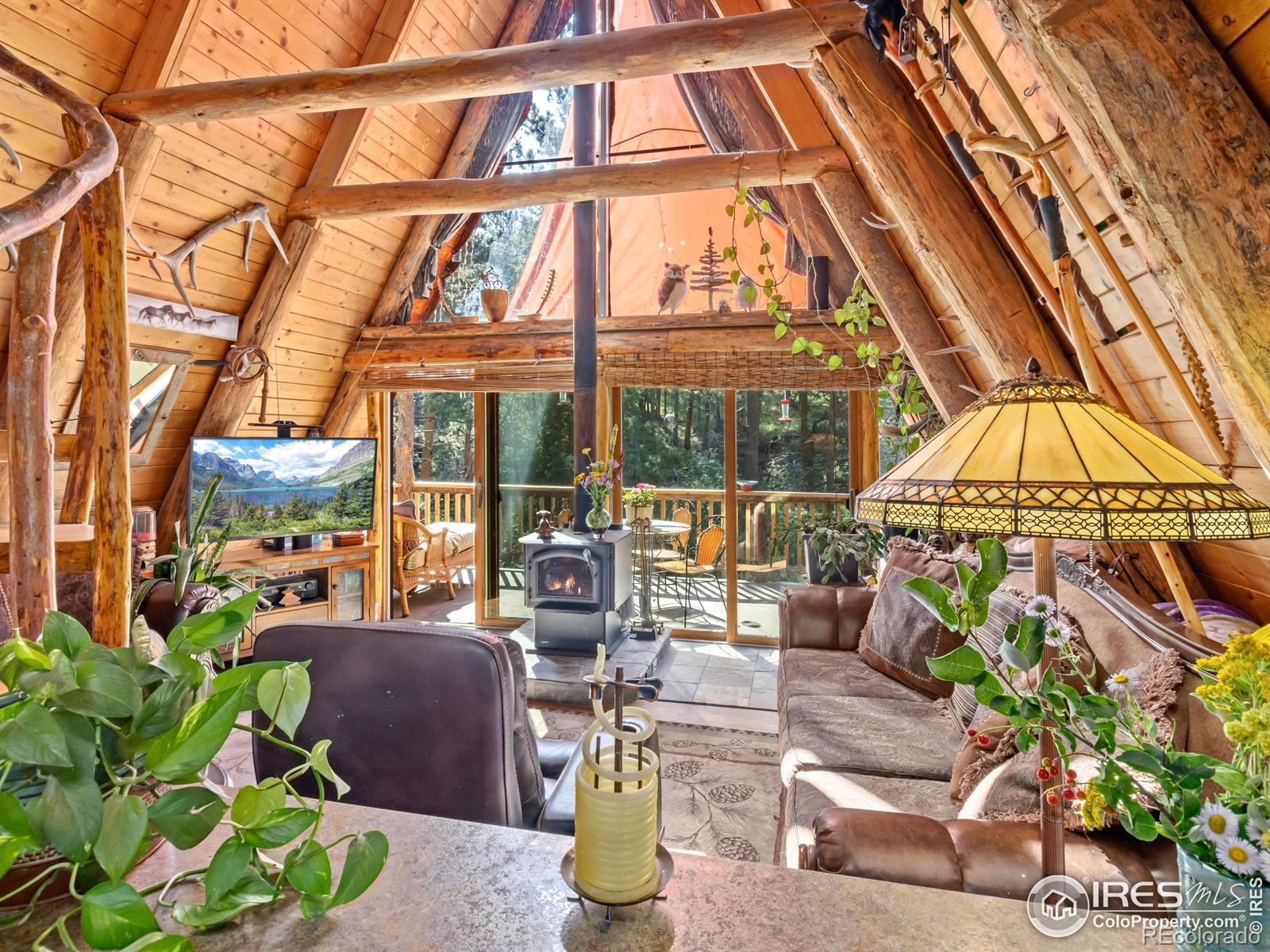 MLS Image #7 for 485  wren place,drake, Colorado