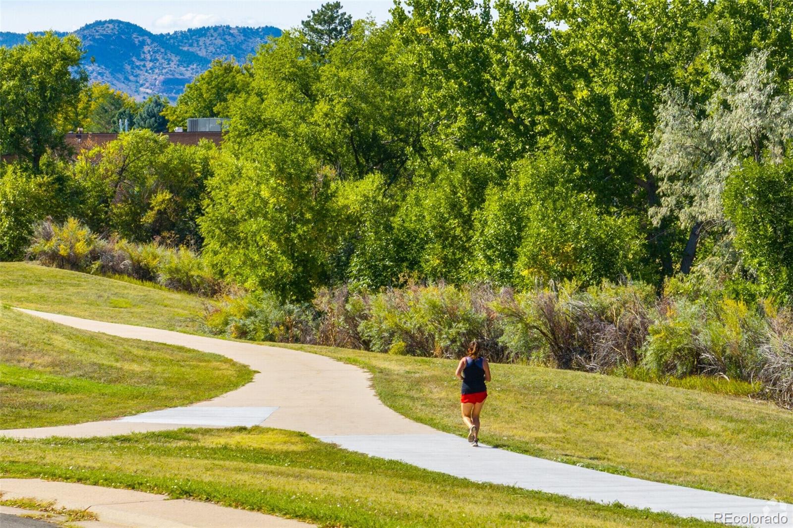 MLS Image #40 for 5915 s dover court,littleton, Colorado