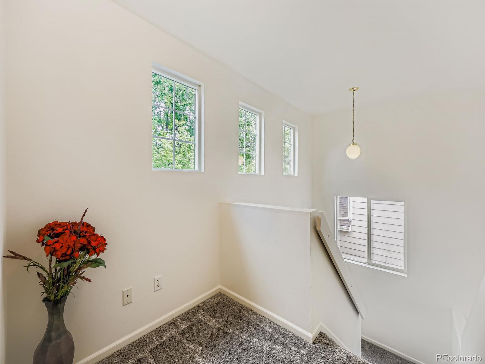 MLS Image #13 for 7040  bonnie brae lane,colorado springs, Colorado