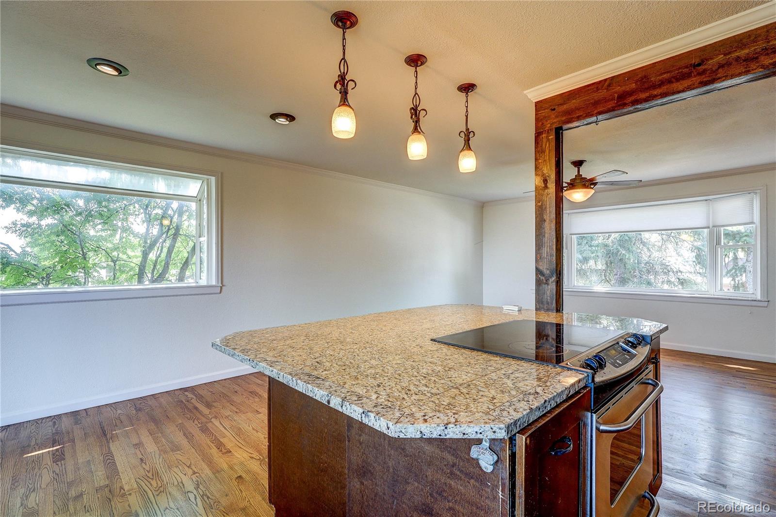 MLS Image #15 for 13678  omega circle,lone tree, Colorado