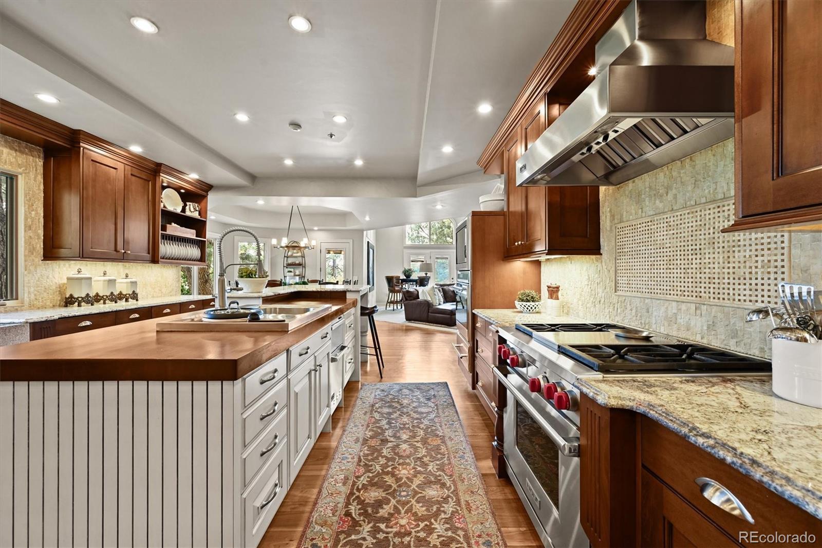 MLS Image #10 for 553  remington place,castle rock, Colorado