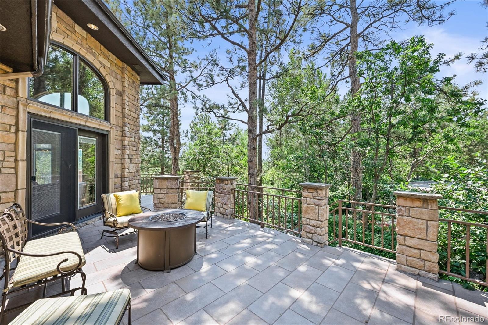 MLS Image #17 for 553  remington place,castle rock, Colorado