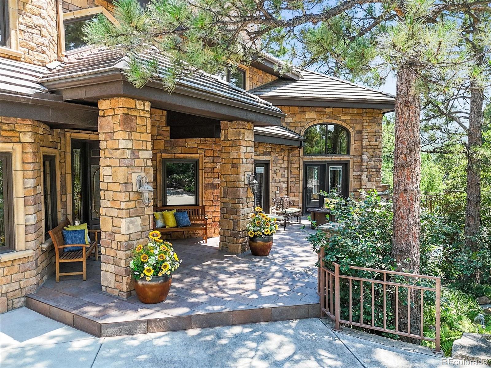 MLS Image #2 for 553  remington place,castle rock, Colorado