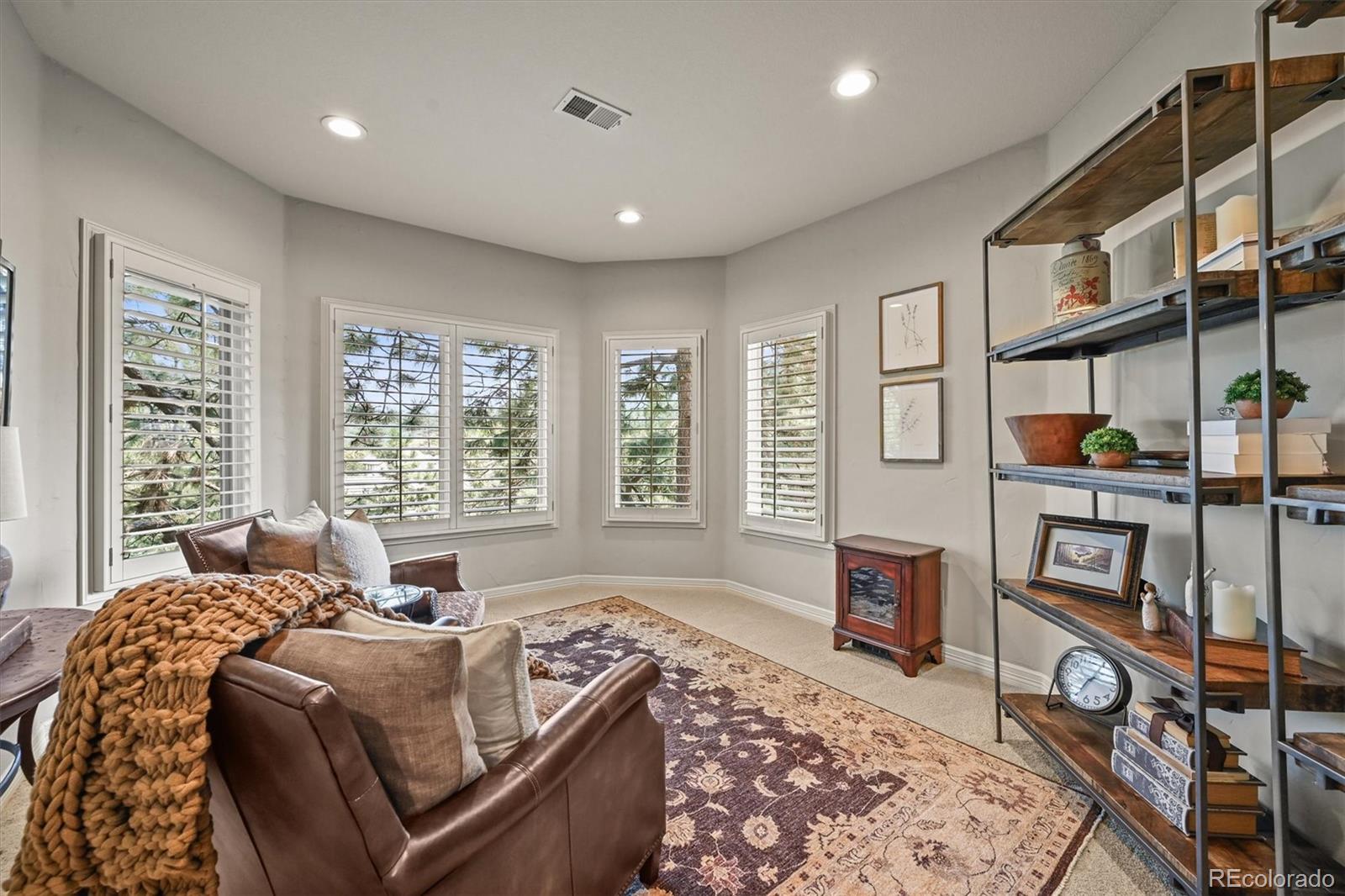 MLS Image #20 for 553  remington place,castle rock, Colorado