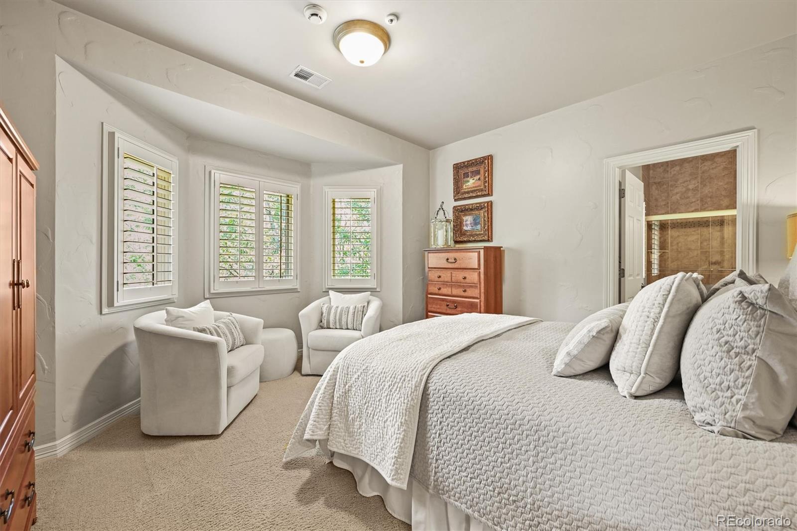 MLS Image #23 for 553  remington place,castle rock, Colorado