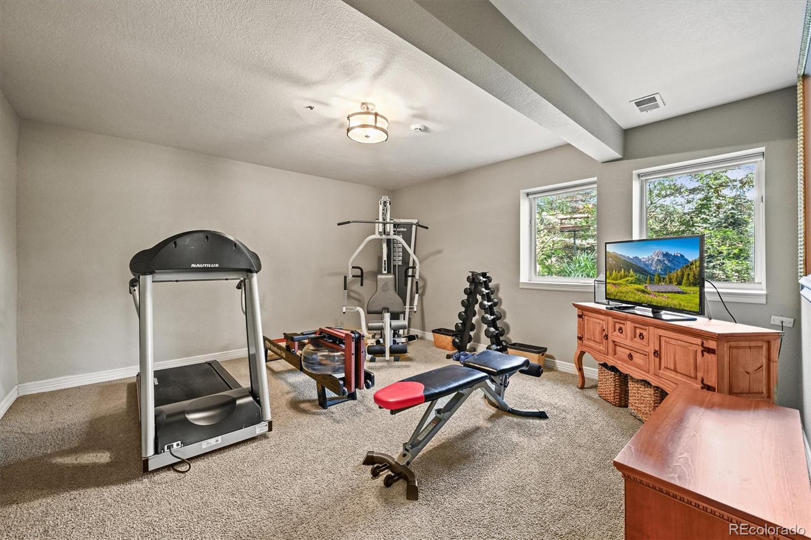 MLS Image #37 for 553  remington place,castle rock, Colorado