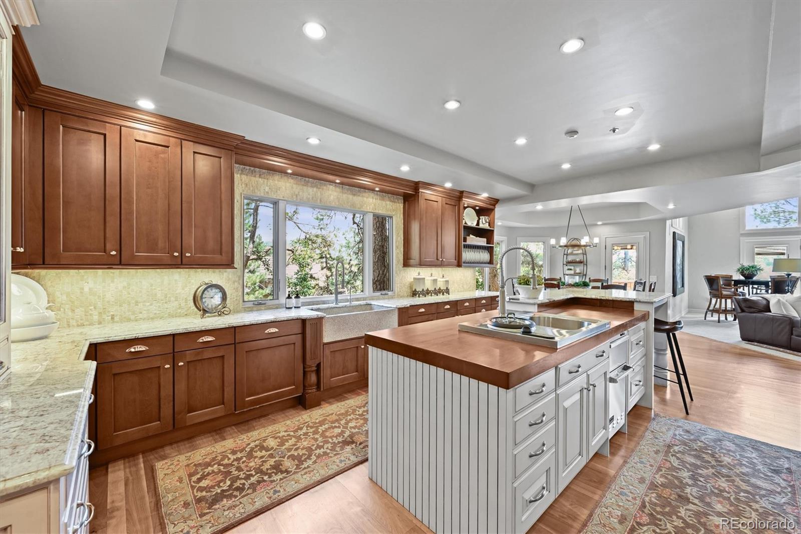 MLS Image #8 for 553  remington place,castle rock, Colorado