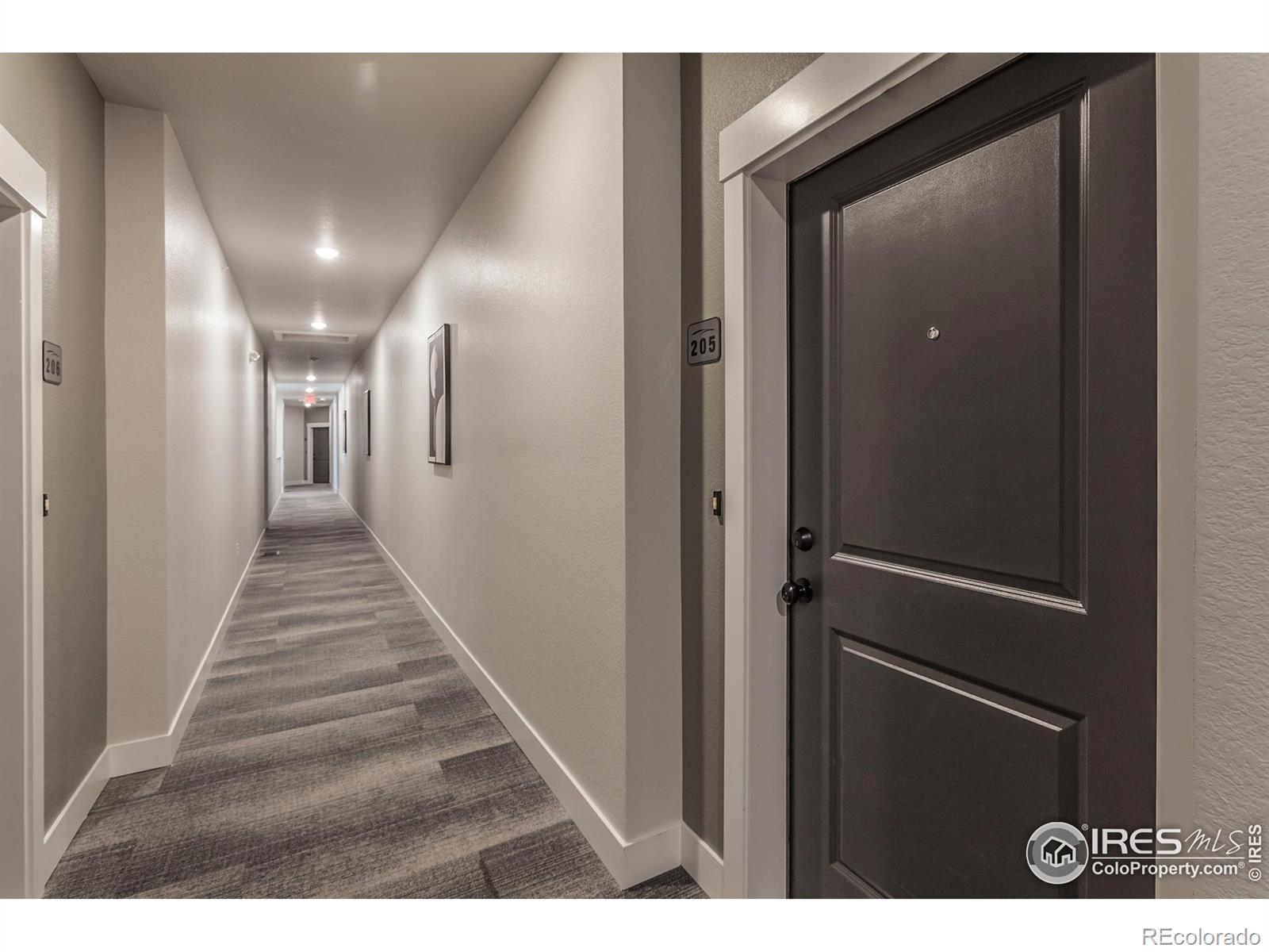 MLS Image #4 for 235  high point drive,longmont, Colorado