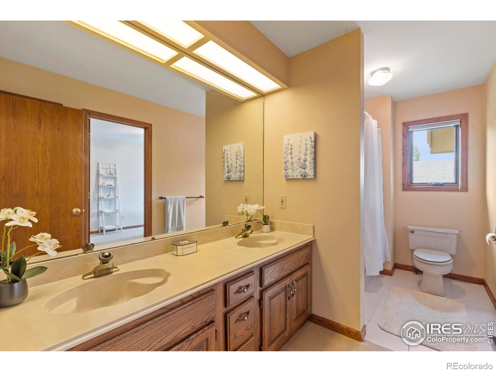 MLS Image #25 for 419  skysail lane,fort collins, Colorado