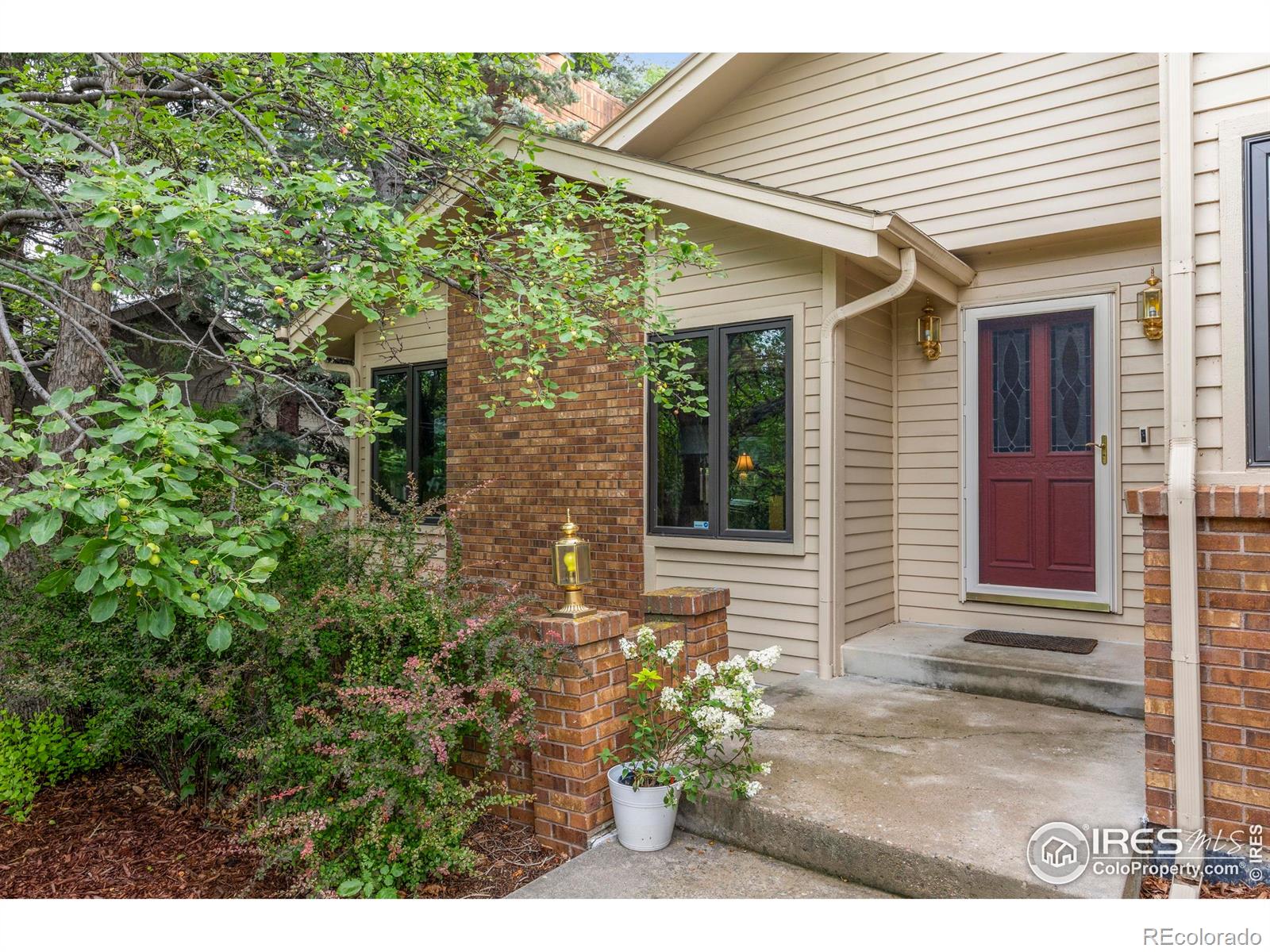 MLS Image #3 for 419  skysail lane,fort collins, Colorado