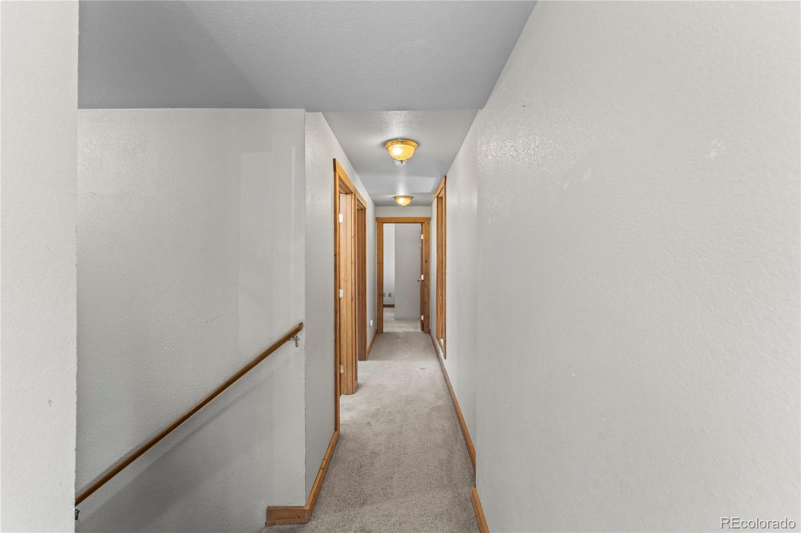 MLS Image #11 for 215  southpark road,florissant, Colorado