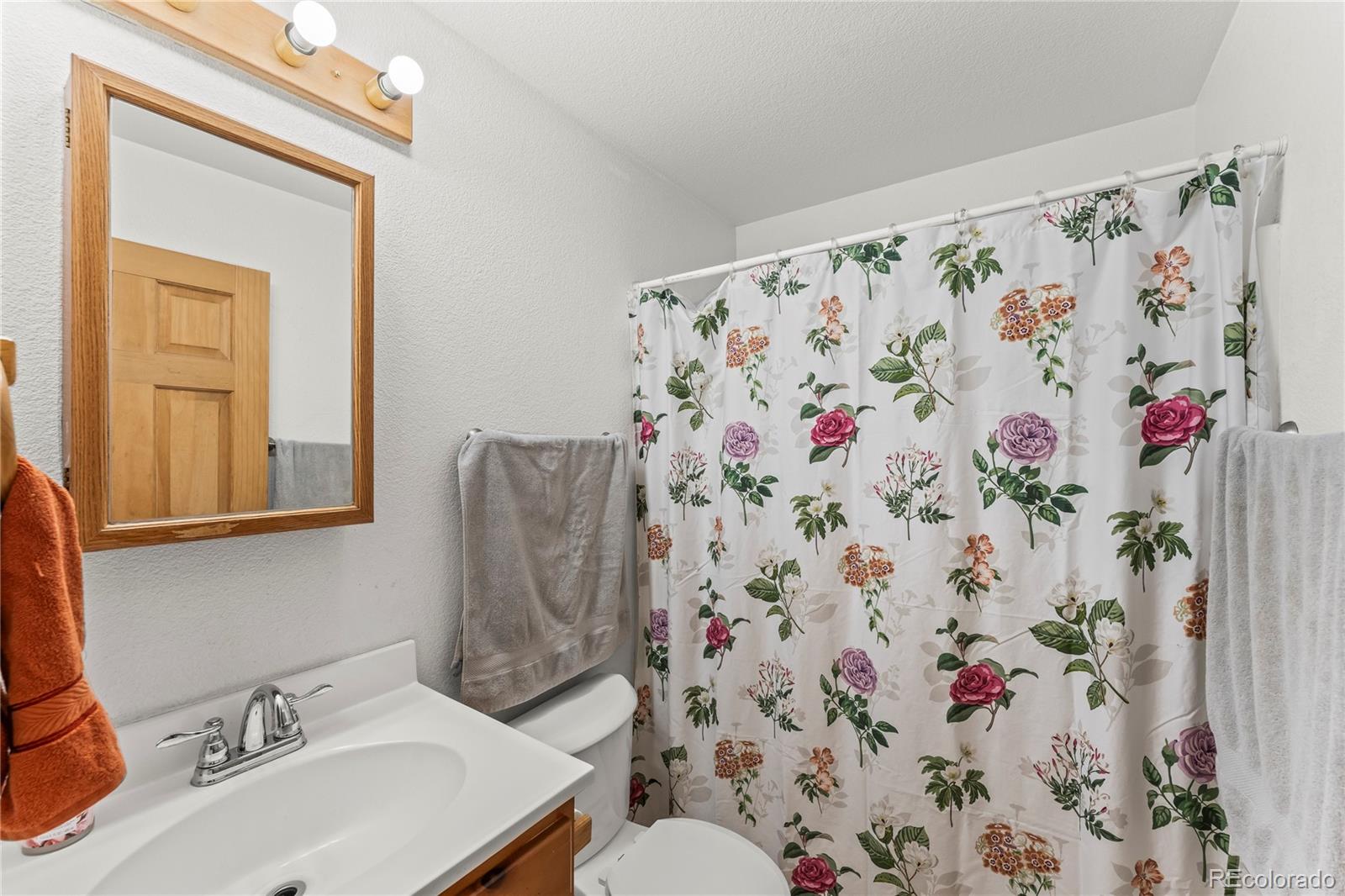 MLS Image #12 for 215  southpark road,florissant, Colorado