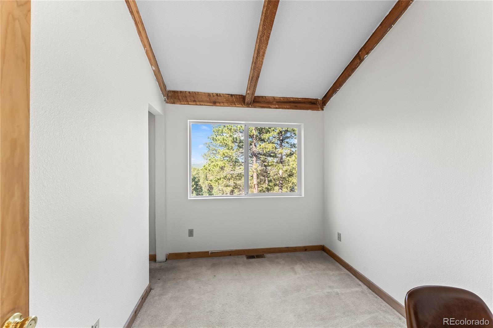 MLS Image #13 for 215  southpark road,florissant, Colorado