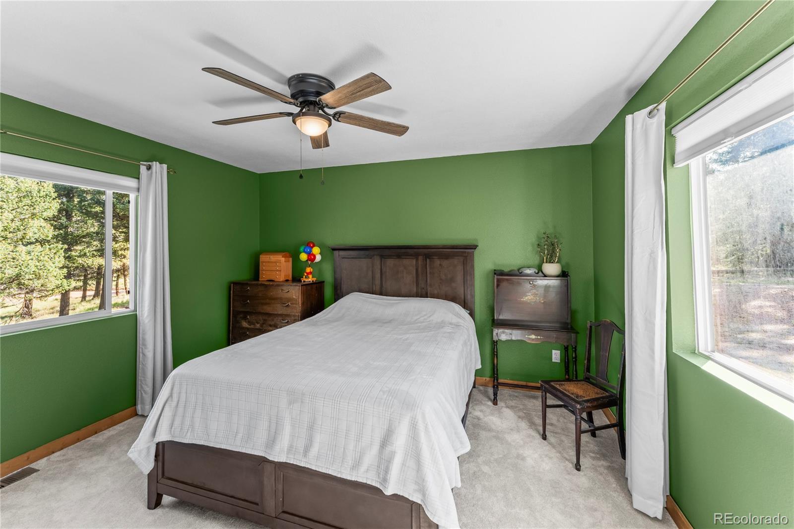 MLS Image #18 for 215  southpark road,florissant, Colorado