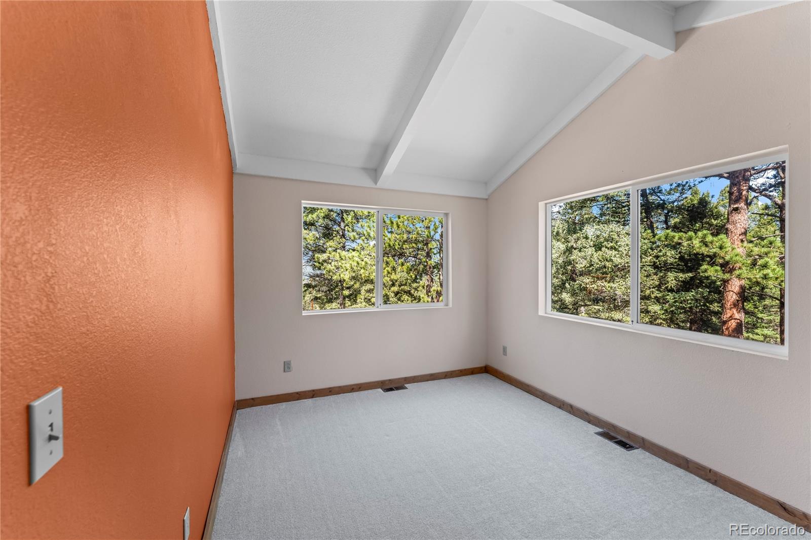 MLS Image #20 for 215  southpark road,florissant, Colorado