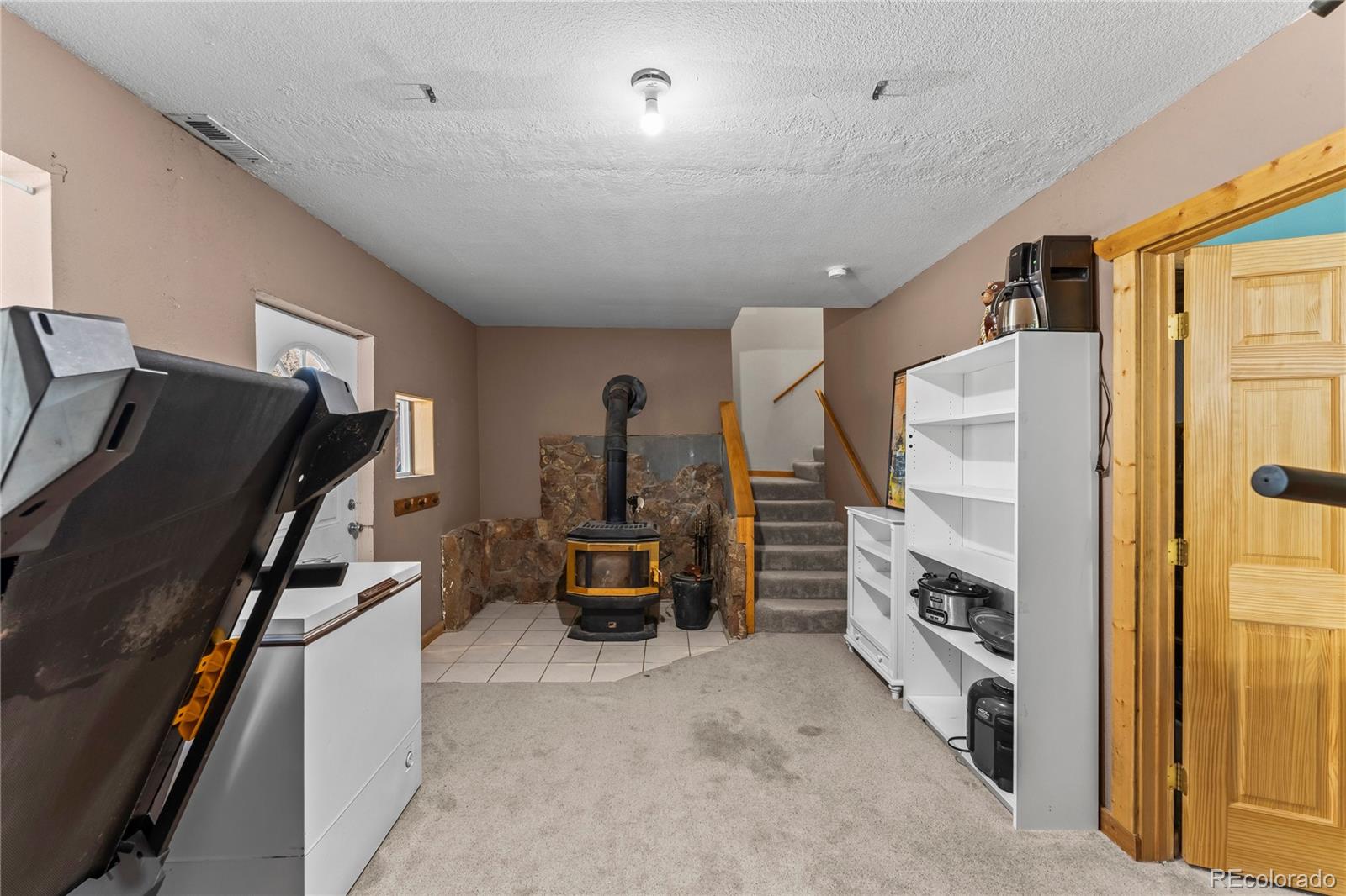 MLS Image #23 for 215  southpark road,florissant, Colorado