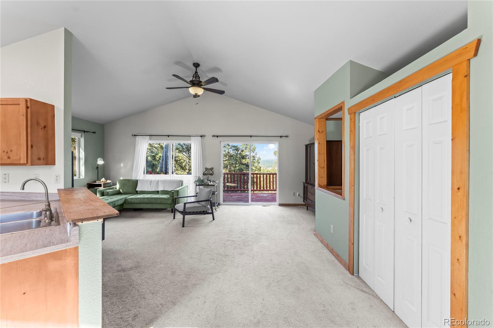 MLS Image #3 for 215  southpark road,florissant, Colorado