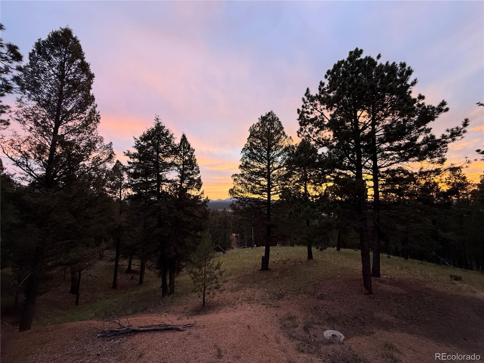 MLS Image #37 for 215  southpark road,florissant, Colorado