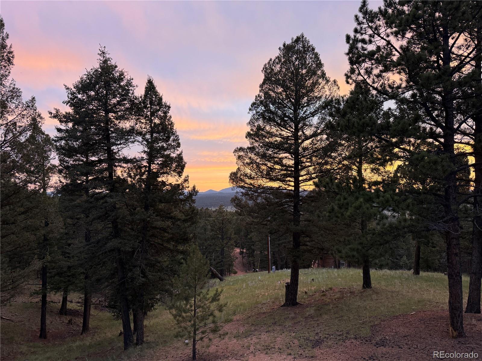 MLS Image #38 for 215  southpark road,florissant, Colorado