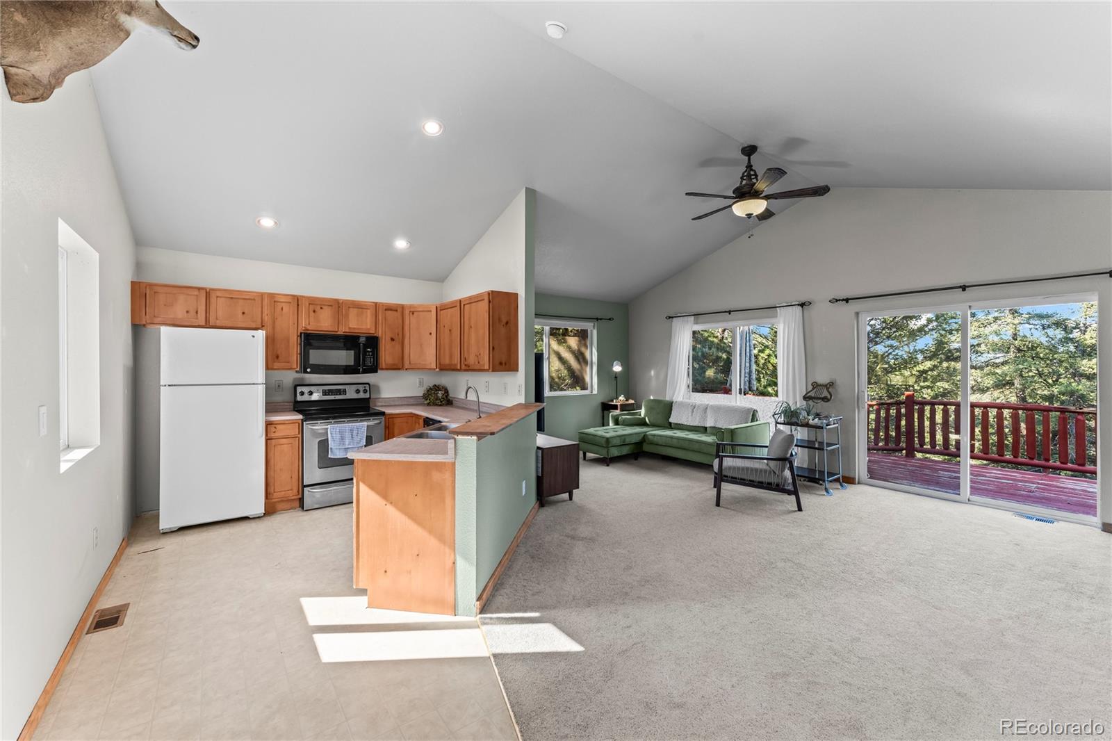 MLS Image #4 for 215  southpark road,florissant, Colorado
