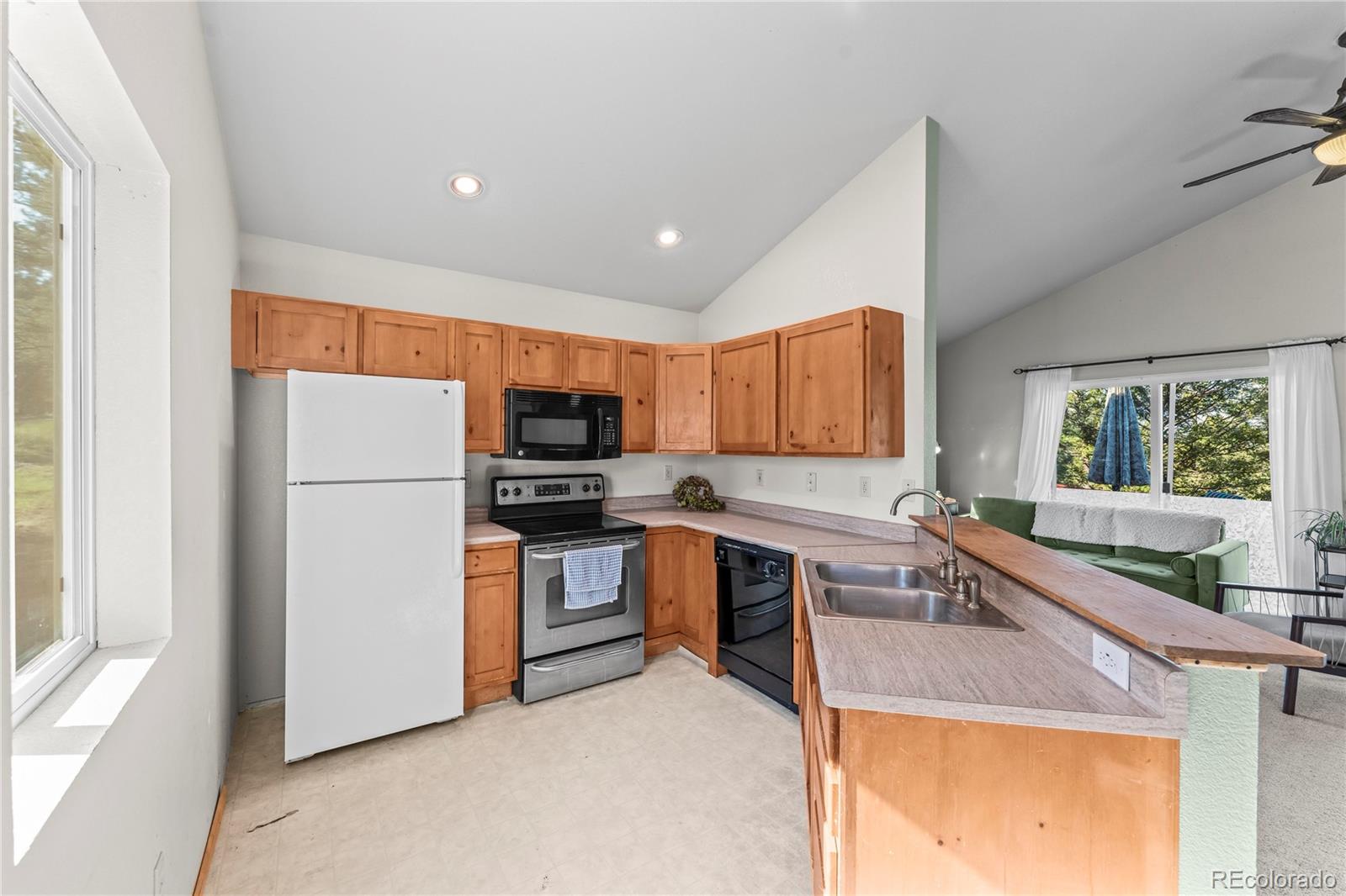 MLS Image #5 for 215  southpark road,florissant, Colorado