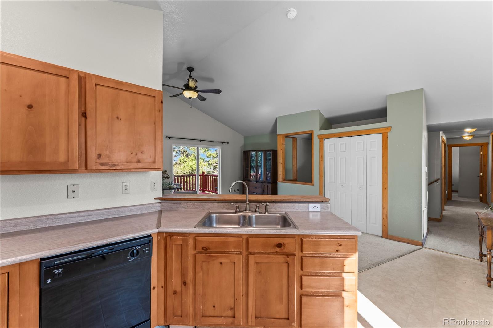 MLS Image #6 for 215  southpark road,florissant, Colorado
