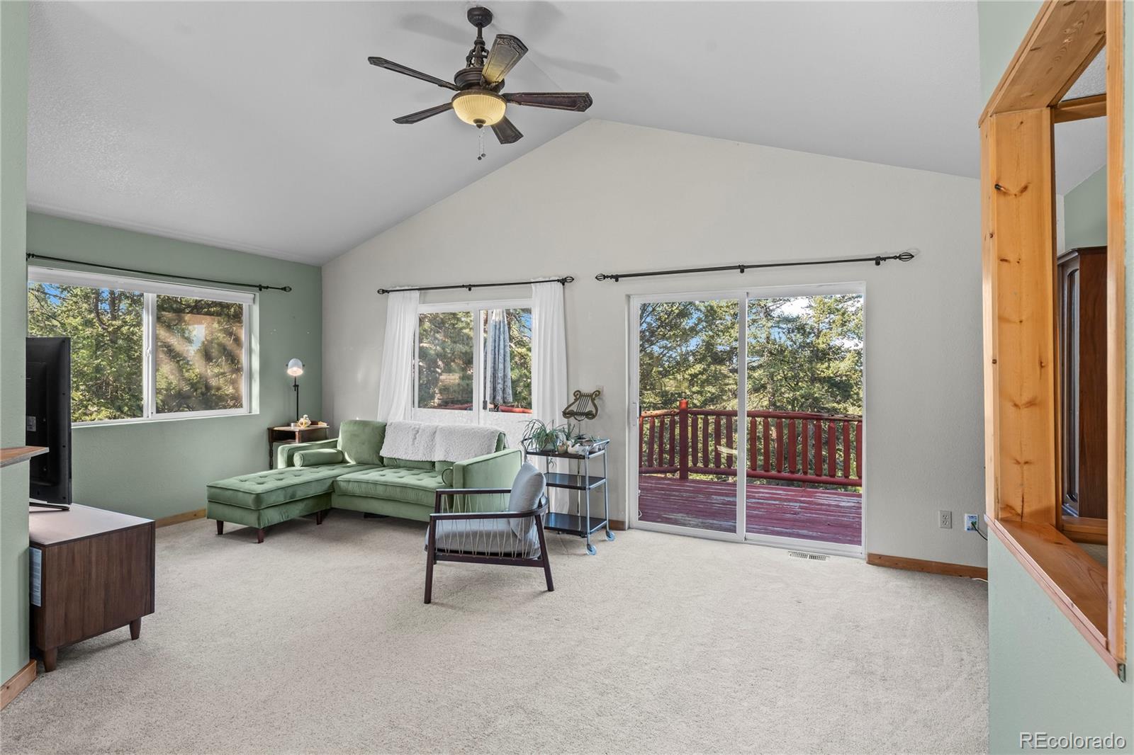 MLS Image #7 for 215  southpark road,florissant, Colorado