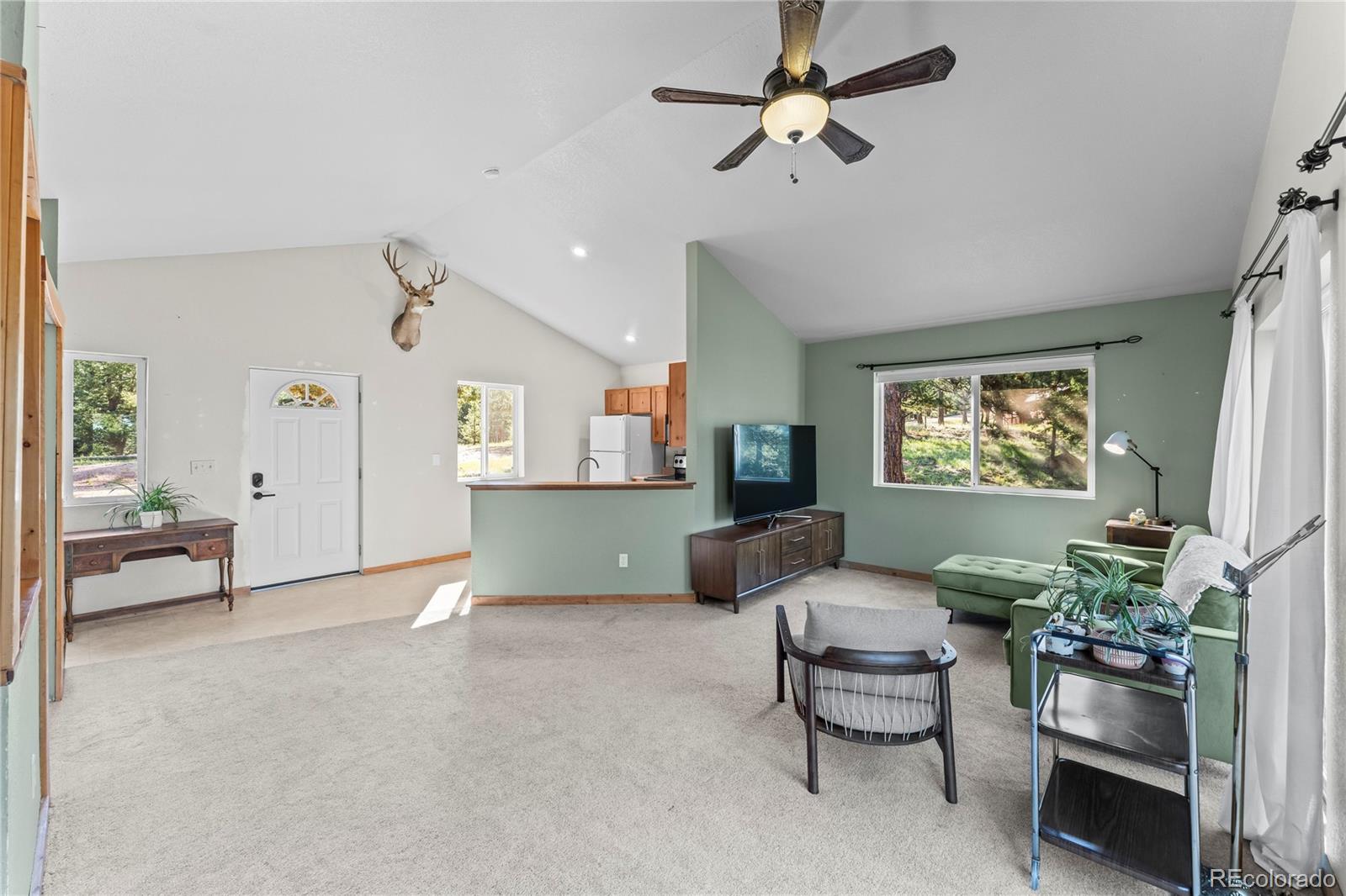 MLS Image #8 for 215  southpark road,florissant, Colorado